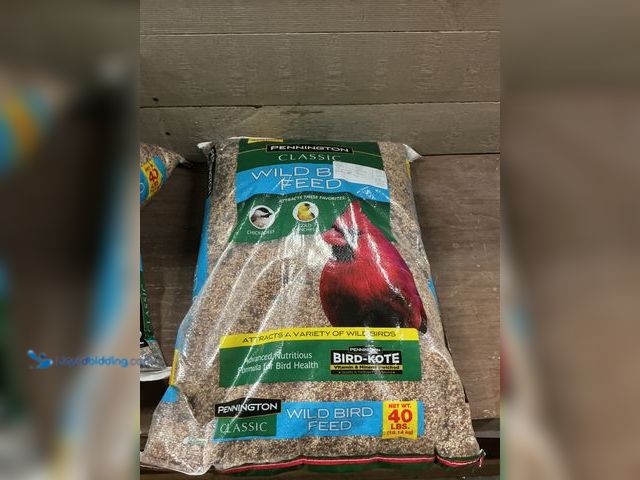 Lot 49-3527463 - Pennington Classic Wild Bird Feed and Seed, 40 lb. Bag, Dry Unused