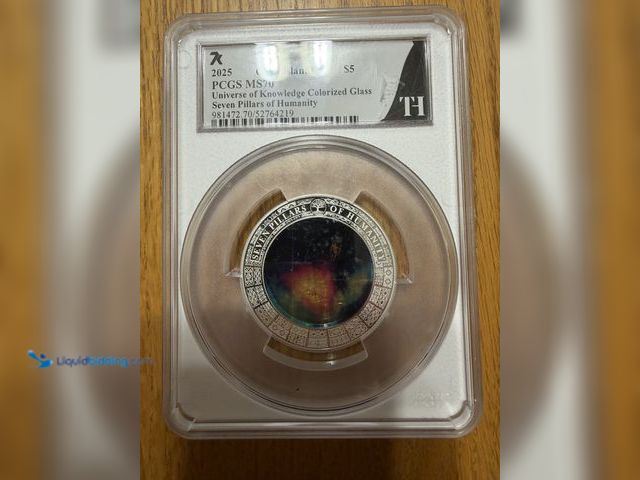 Lot 49-1975149 - 1 2025 Beautiful piece