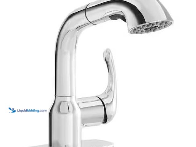 Lot 49-5486404 - Glacier Bay
Dunning Single-Handle Pull-Out Laundry Utility Faucet with Dual Spray Function in Chrom...