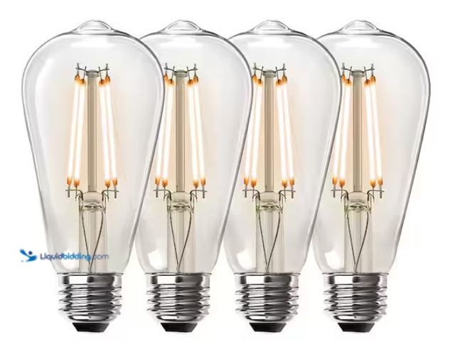 Lot 49-1519176 - (4) Feit Electric 60-Watt Equivalent ST19 Dimmable Straight Filament Clear Glass E26 Vintage Edison ...