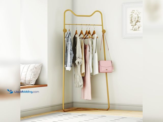 Lot 49-5553202 - HKaikzo Gold Metal Corner Coat Rack, Modern Clothing Rack Hall Tree with 2 Hooks for Clothes Hat Sca...