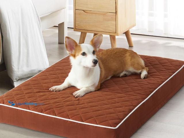 Lot 49-1519095 - WNPETHOME Orthopedic Dog Beds for Large Dogs, Extra Large Waterproof Dog Bed with Removable Washable...