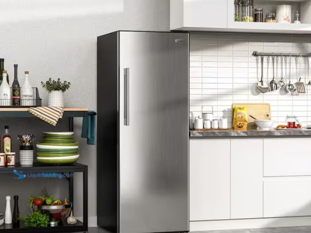 Lot 49-1567541 - Vissani 24 in. 11 cu. ft. Convertible Auto Defrost Garage Ready Upright Freezer/Refrigerator in Stai...