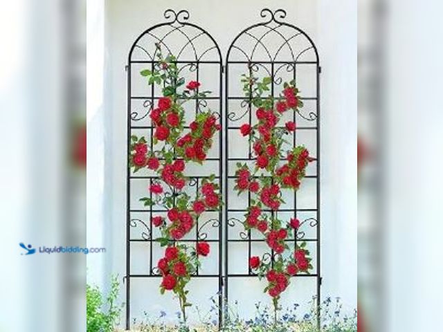 Lot 49-3464351 - Lorenzo 2 Pcs 70 x 19.7 inch Metal Garden Trellis for Climbing Plants, Black Metal Coating Rustproof...