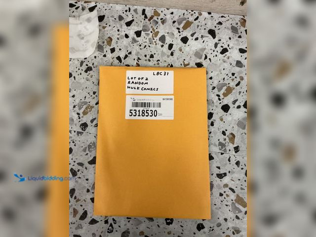 Lot 49-5489295 - Lot of 2 Random Marvel Hulk Comics. Unused.