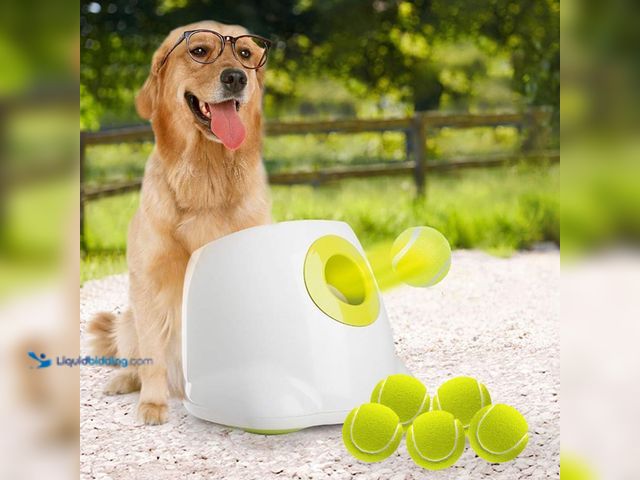 Lot 49-5459401 - ALL FOR PAWS Automatic Dog Ball Launcher for Medium to Large Dogs, Interactive Tennis Ball Thrower. ...