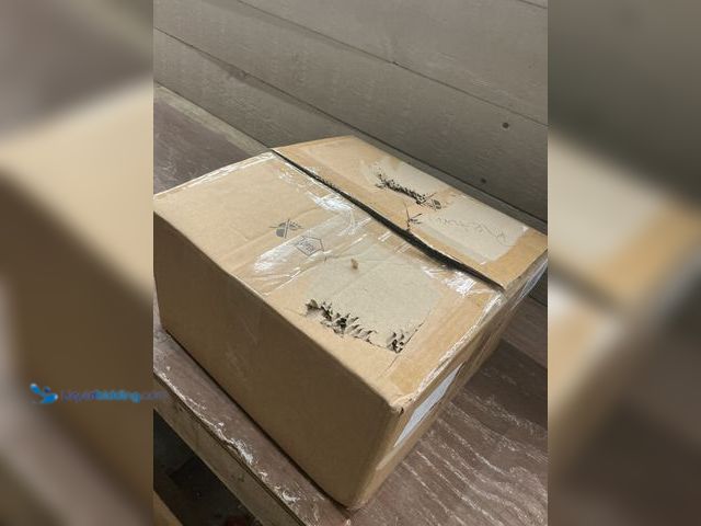 Lot 49-5482169 - Gold Ceiling Light Globe Fixture (attachments and hardware included) Unused