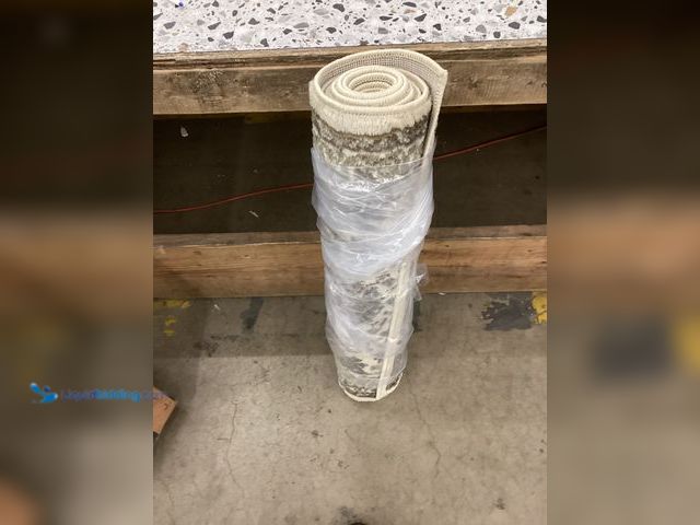 Lot 49-3530431 - Large Area Rug Item is used.