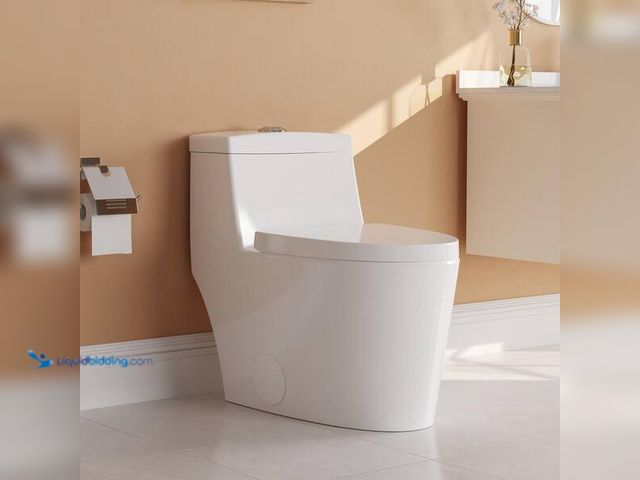 Lot 49-5460881 - DEERVALLEY
Prism 12 in. Rough In 1-Piece 1.1/1.6 GPF Dual Flush Elongated Toilet in White, Seat Inc...