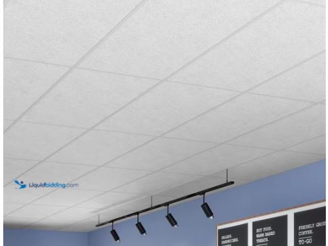 Lot 49-1514625 - USG Ceilings 2 ft. x 4 ft. Fifth Avenue White Square Edge Lay-In Ceiling Tile, pallet of 160 (1280 s...