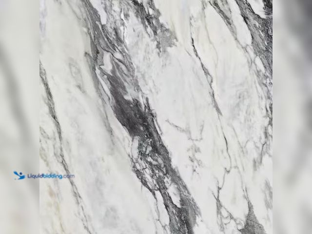 Lot 49-1594622 - Approx. (284) sq. ft. of Daltile Lamora Nero Marble 24 in. x 24 in. Matte Porcelain Floor and Wall T...