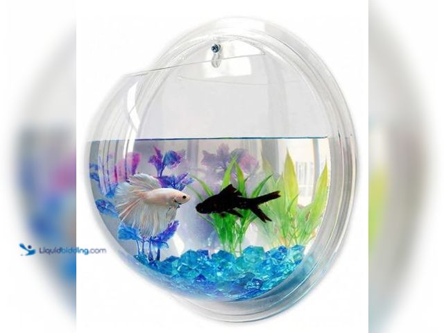 Lot 49-3432527 - Wall Mounted Acrylic Fish Bowl, Hanging Flower Pot Vase Decoration, Clear Fish Tank Bubble Aquarium ...