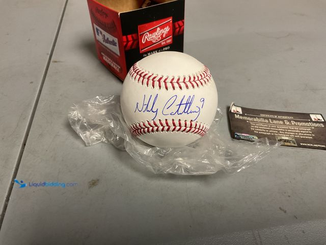 Lot 49-1505974 - AWESOME AUTOGRAPHED NICK CASTELLANOS MAJOR LEAGUE BASEBALL BOUGHT STRAIGHT FROM TIGERS STORE. AMAZIN...