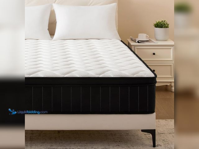 Lot 49-5437249 - Queen Mattress 12 Inch Hybrid Mattresses with Memory Foam - Mattress in a Box with Individual Pocket...