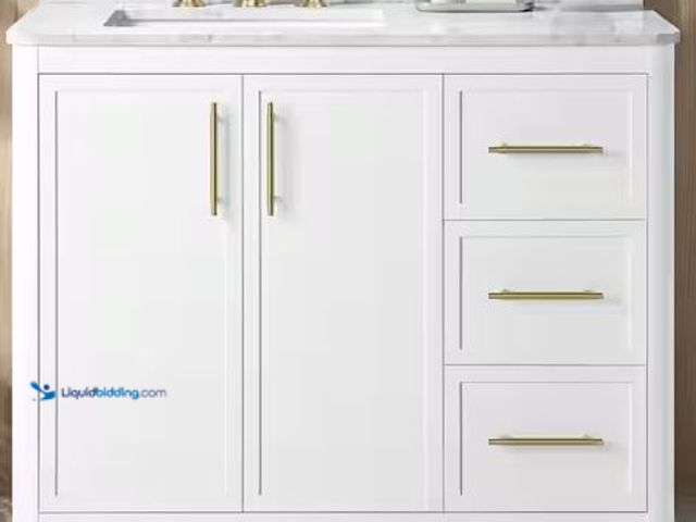 Lot 49-1537964 - Home Decorators Collection Tamsin 42 in. Single Sink White Bath Vanity with White Round Corner Engin...