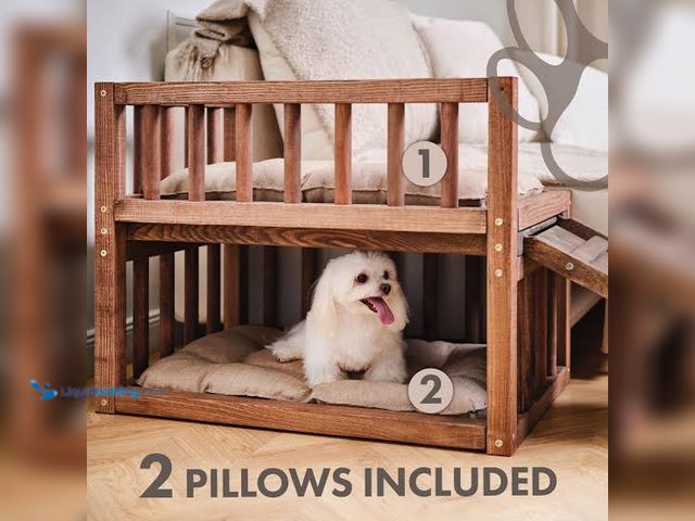 Lot 49-5541656 - maxfit raised pet bunk bed Unused