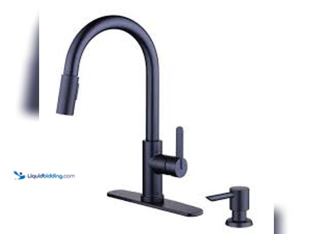 Lot 49-5439047 - Glacier Bay Paulina Single-Handle Pull-Down Sprayer Kitchen Faucet with TurboSpray, FastMount, Soap ...