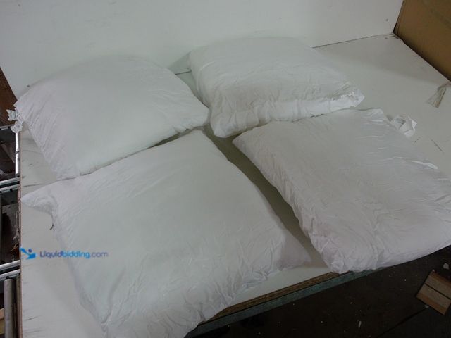 Lot 49-1556359 - DurayLoly White 4 Pack 17in x 17in Throw Pillow, Unused  Ref#BULK1126