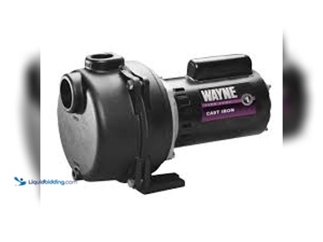 Lot 49-5461062 - Wayne 1-1/2 HP Cast Iron Quick-Prime Lawn-Sprinkler Pump, Model# WLS150, Used