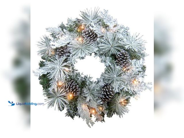 Lot 49-1544898 - Fraser Hill Farm 24-inch Flocked Christmas Wreath with Pinecones and White LED Lights, Battery Opera...