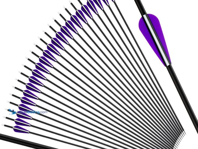 Lot 49-5463718 - 24 Pcs 31.5 Inch Arrows for Compound Bow Hunting Arrows Carbon Arrows with 3 Inch Plastic Arrow Feat...