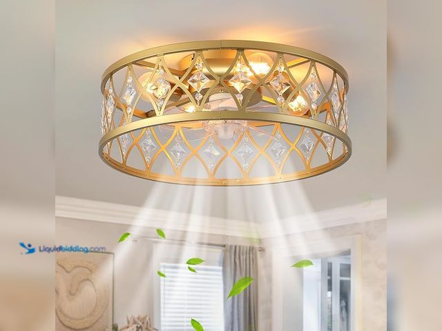 Lot 49-5446732 - ASIN: B0DSPVC5B3 Garwarm Caged Ceiling Fan with Light,20" Ceiling Fans with Lights and Remote,Bladel...