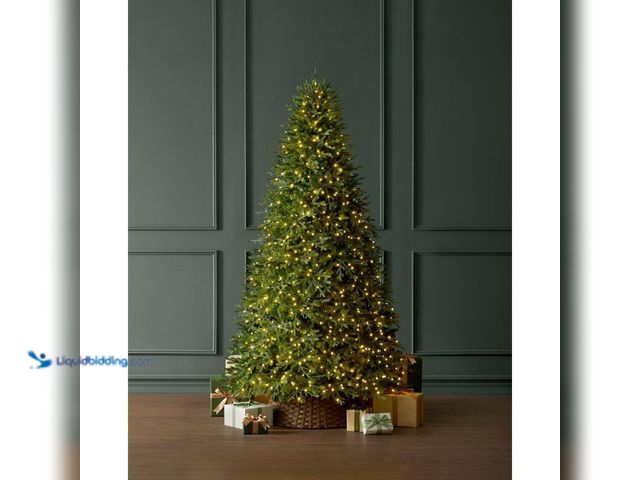 Lot 49-5463540 - Home Decorators Collection
9 ft. Breckenridge Twinkling Adaptive Lighting Downswept Fraser Fir LED ...