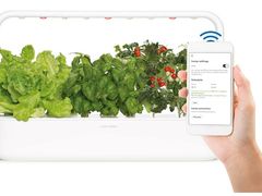 Lot 49-3535372 - undefined