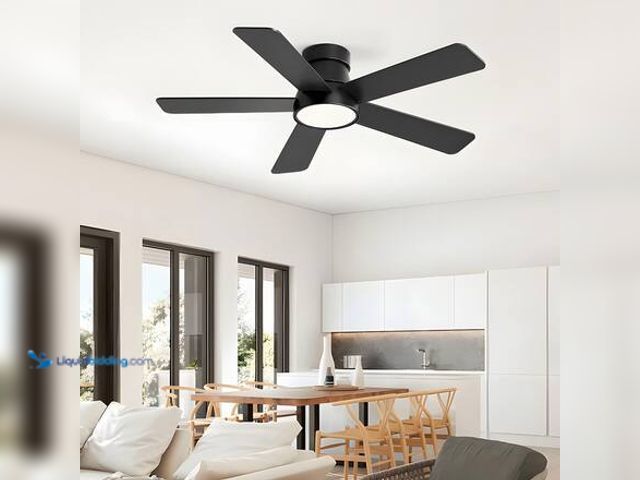Lot 49-5546374 - HINNIXY 42 in. Indoor Black Low Profile Standard Flush Mount Ceiling Fan with Light and Remote Contr...