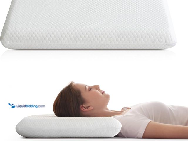 Lot 49-5406665 - Ultra Thin Flat Pillow for Sleeping, 2.75'' Thin Pillow for Back Sleeper, Supportive Stomach Sleepin...