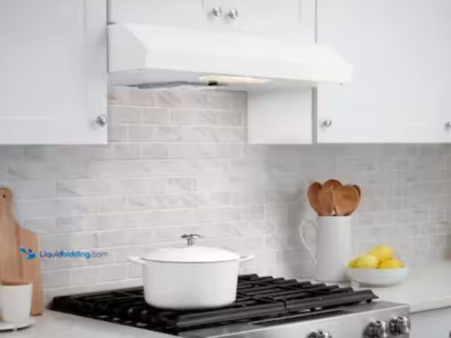 Lot 49-5486671 - Vissani
Arno 30 in. 240 CFM Convertible Under Cabinet Range Hood in White with Lighting and Charcoa...