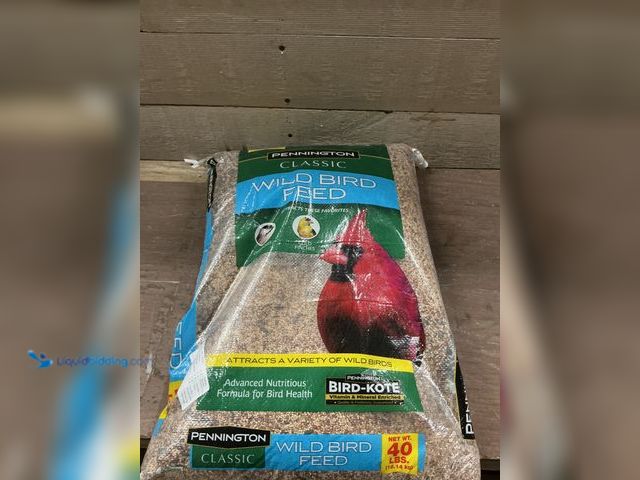 Lot 49-3527468 - Pennington Classic Wild Bird Feed and Seed, 40 lb. Bag, Dry Unused