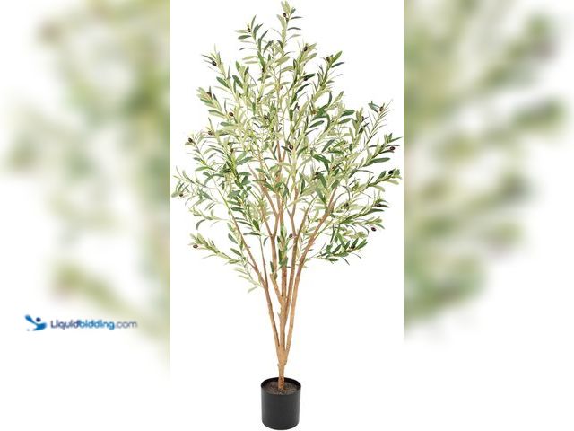 Lot 49-5406151 - 6ft Super Fuller Faux Olive Tree with Multiple Real Wood Trunks, 72in Olive Trees Artificial Indoor ...