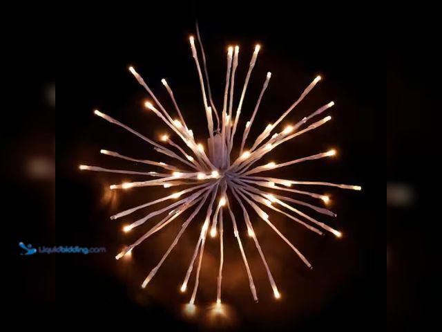 Lot 49-1546904 - (2-Pack) 16in. Indoor/outdoor Classic White LED Christmas Spritzer, 80 LED bulbs, Model # 66400 CW, ...