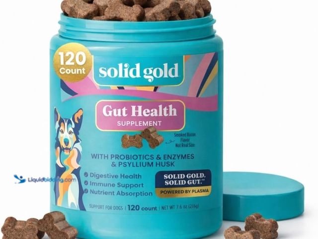 Lot 49-5542940 - Solid Gold Dog Probiotics for Digestive Health - Probiotics for Dogs with Fiber & Digestive Enzymes ...