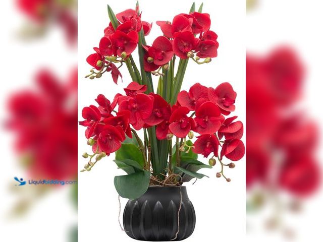 Lot 49-5448254 - CXGS Artificial Orchid Flower Plant 19.7'' Real Touch Faux Orchids in Ceramic Vase Red Fake Phalaeno...