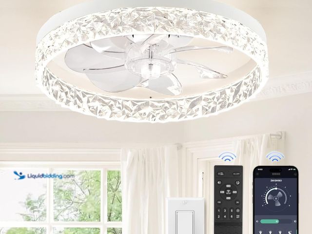Lot 49-3465091 - ZMISHIBO Ceiling Fans with Lights, Low Profile Ceiling Fan with Light and Remote, Flush Mount Ceilin...