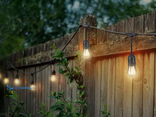 Lot 49-2006658 - Hampton Bay 24-Light 48 ft. Indoor/Outdoor Plug-In Filament LED S14 Edison Bulb String-Light, Model ...