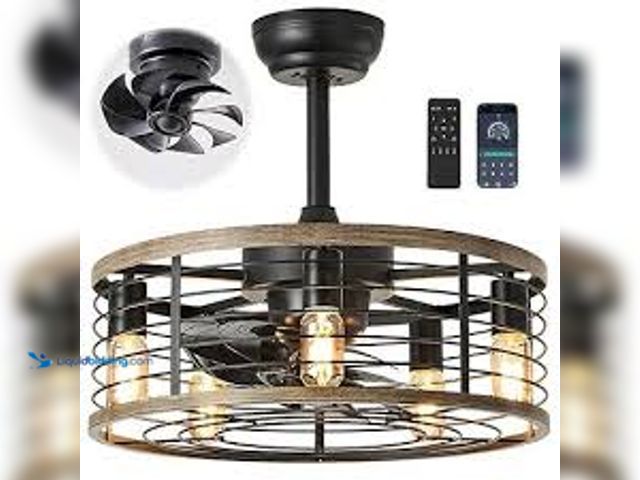 Lot 49-5438007 - SUKACI Caged Ceiling Fan with Light: Farmhouse Flush Mount Ceiling Fans Lights - Upgraded 360-degree...