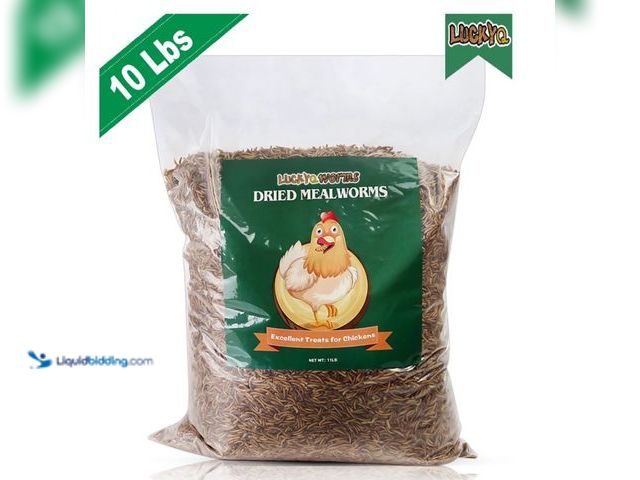 Lot 49-5413358 - Bulk 10 LBS Dried Mealworms for chickens Birds Bluebirds Hamsters Hen Meal Worms (Unused) (Small hol...