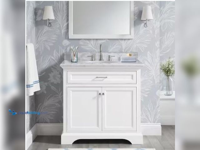 Lot 49-1517313 - Home Decorators Collection
Windlowe 37 in. Single Sink White Bath Vanity with White Carrara Marble ...