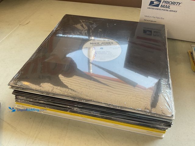 Lot 49-5341547 - LOT OF 20 BRAND NEW VINYL RECORDS FROM VARIOUS YEARS AND GENRES INCLUDING MIKE JONES, THE BEATNUTS, ...