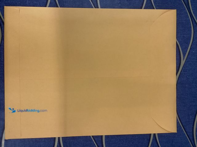 Lot 49-5490231 - Lot of 2 Random Speedball Comics LBC42