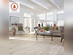 Lot 49-1580688 - undefined