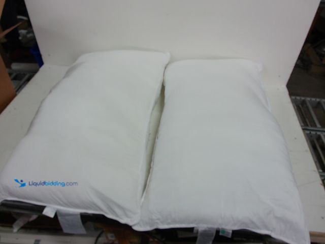 Lot 49-1558941 - Lot of (2) OEKO-TEX Standard 100, 20x36" Pillows, Slightly used.  Ref#BLUEAMA1203