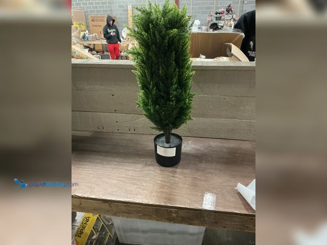 Lot 49-3527439 - 2ft artificial plant Unused