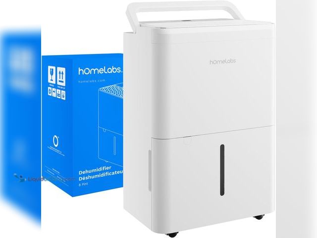 Lot 49-5488317 - hOmeLabs Dehumidifier - Advanced Humidity & Moisture Control, Quiet, Efficient, Auto Shut-off, Ideal...