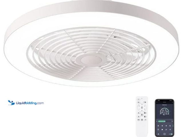 Lot 49-5436635 - Orison Ceiling Fans with Lights, Low Profile Ceiling Fan with Lights and Remote, 6 Wind Speeds Smart...