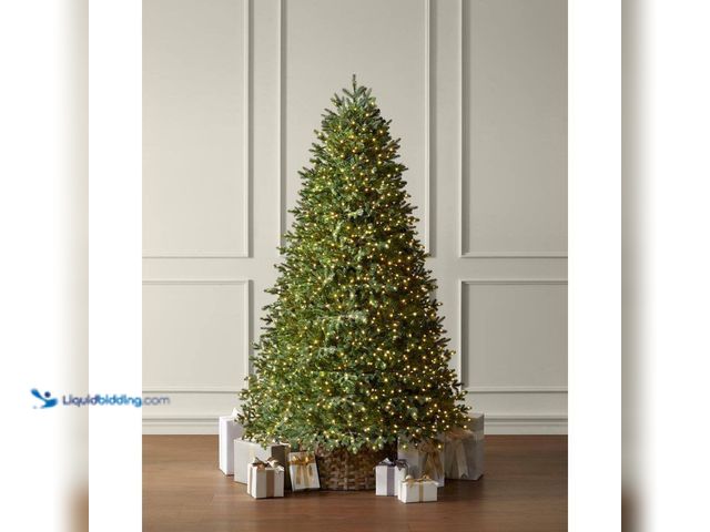 Lot 49-5464102 - Home Decorators Collection
7.5 ft. Elegant Twinkling Grand Fir LED Pre-Lit Artificial Christmas Tre...