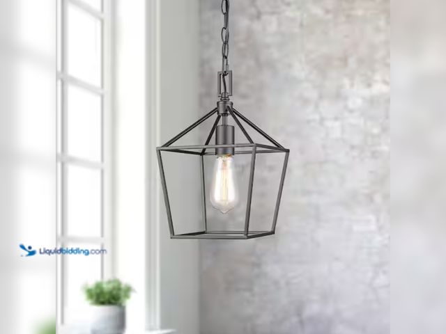 Lot 49-2000261 - Home Decorators Collection Weyburn 1-Light Bronze Farmhouse Mini Pendant Light Fixture with Caged Me...